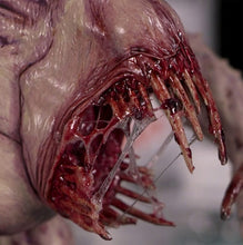 Load image into Gallery viewer, Dirty Down Gore 15ml