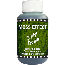 Load image into Gallery viewer, Dirty Down Water Soluble Paint – Moss