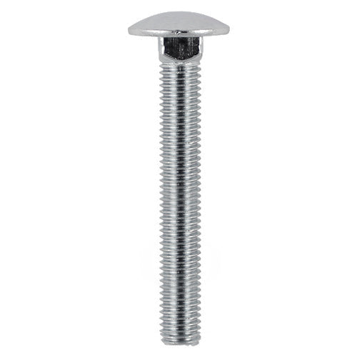 Carriage Bolt - Stainless Steel