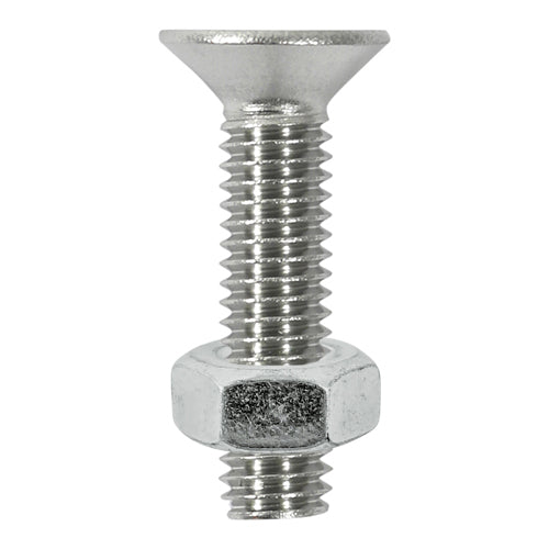 Countersunk Socket Screw & Nut - Stainless Steel