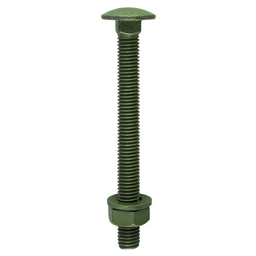 Carriage Bolts Hex Nuts & Form A Washers - Dome - Exterior - Green